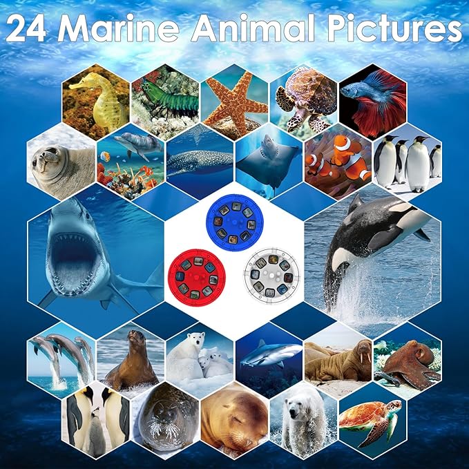 Pup Go Sea World Projector Flashlight for Kids Ages 3 4 5 6 7, with 3 Discs 24 Images, Sea Creatures Toys for Boys Girls, Shark Toy for Kid, Occean Night Light Projector, Shark Gifts Games for Kids