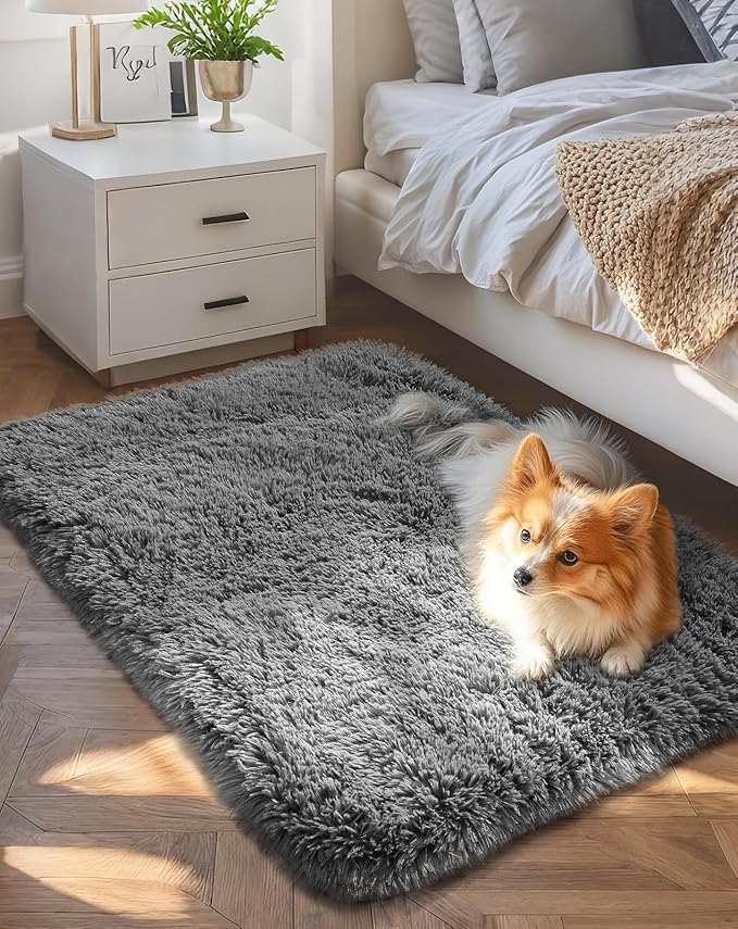 Ophanie Area Rugs for Bedroom Living Room,Color 1- Grey,Size 2' x 4',Shape Rectangular