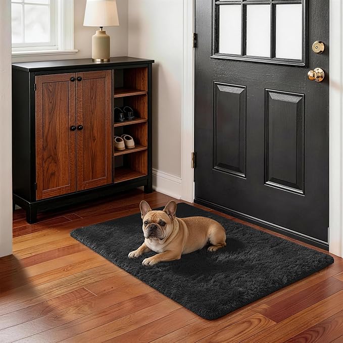 Ophanie Area Rugs for Bedroom Living Room,Color 3- Black,Size 2' x 3',Shape Rectangular