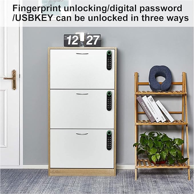 Fingerprint Cabinet Lock, Smart Electronic Cabinet Locks, Combination Password Drawer Lock with USBKEY Suitable for Office Cabinet, Wardrobes, Liquor, Weapon Storages and etc-ABS Lock Case