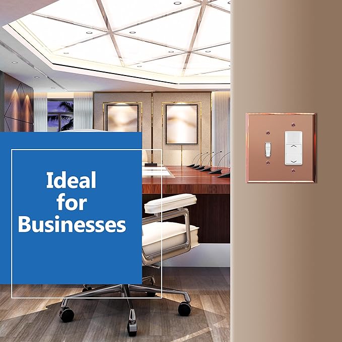 LIDER Reflective Acrylic Combination Wall Plate, Mirrored Double Switch Plate Combo Toggle Switch Decorator Outlet Cover Acrylic Glass Oversized 2-Gang 5.25" x 5.25" LWP-1131O-ARG5P, Rose Gold 5 Pack