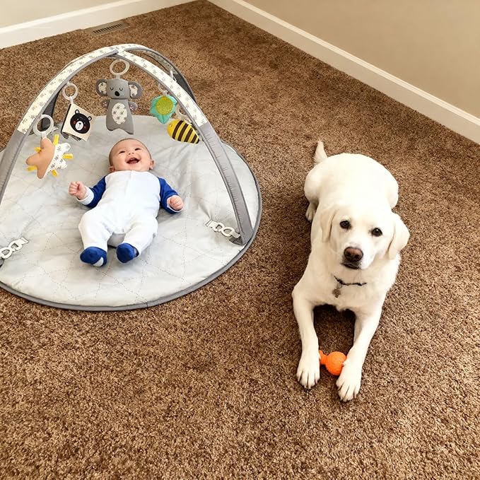LADIDA Baby Play Gym, Activity Mat, 3 Stage Play Mat Padded Tummy Time Mat with STEM Based Toys for Sensory and Motor Skill Development, Newborn to Toddler
